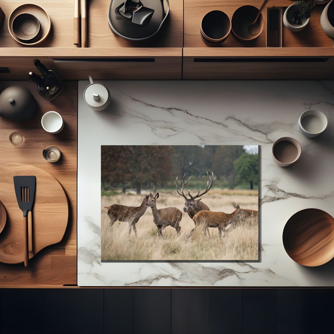 herten_inductiebeschermer