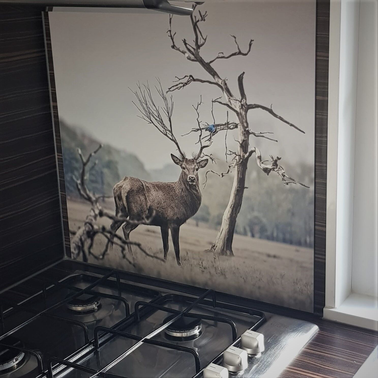 Spatscherm met hert en vogeltje