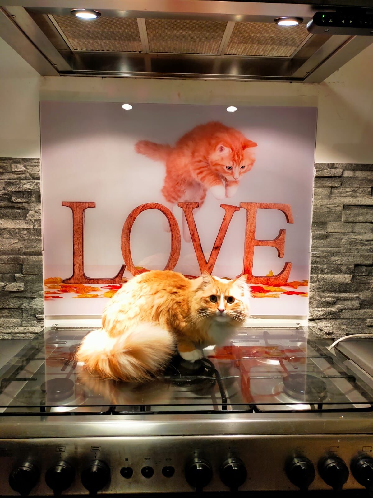 Backsplash met rode poes love