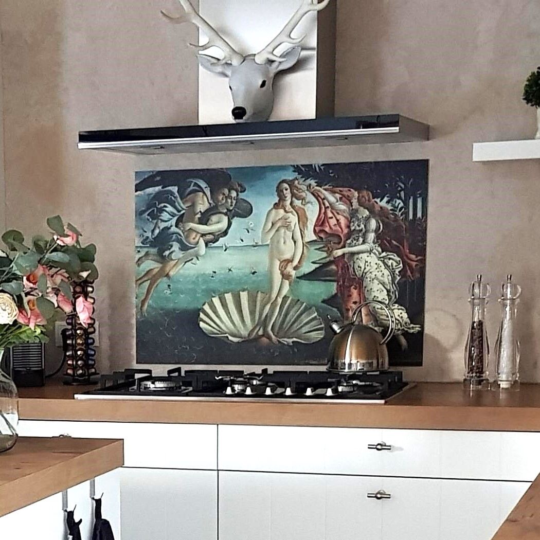 Keuken_spatscherm_Venus_van_Milo