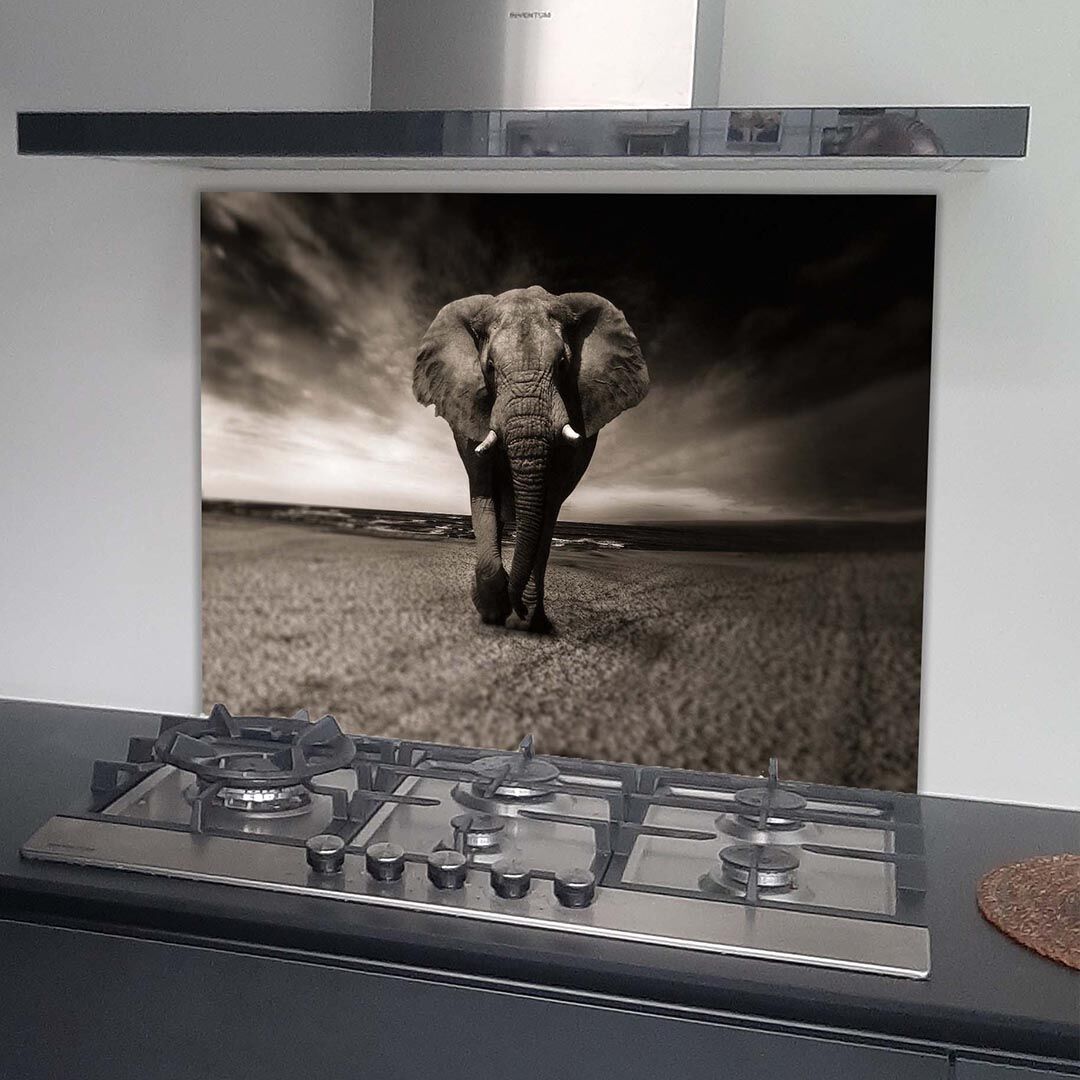 Kunstinjekeuken_keukenachterwand_spatscherm_Spatscherm olifant
