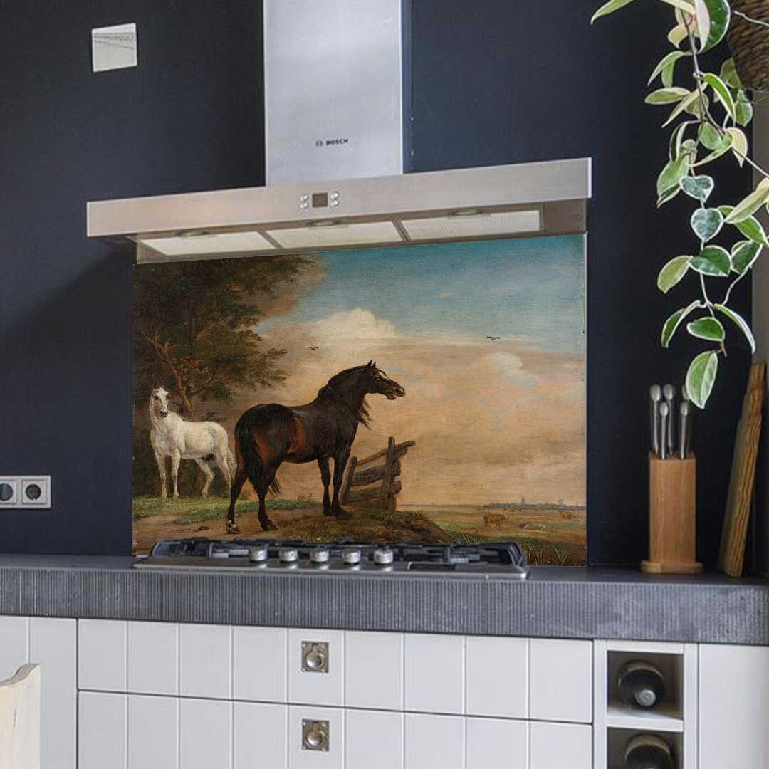 spatscherm_keuken_met_paarden