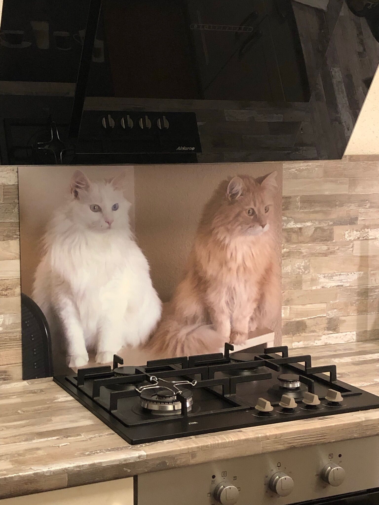 spatplaat met eigen foto van poezen