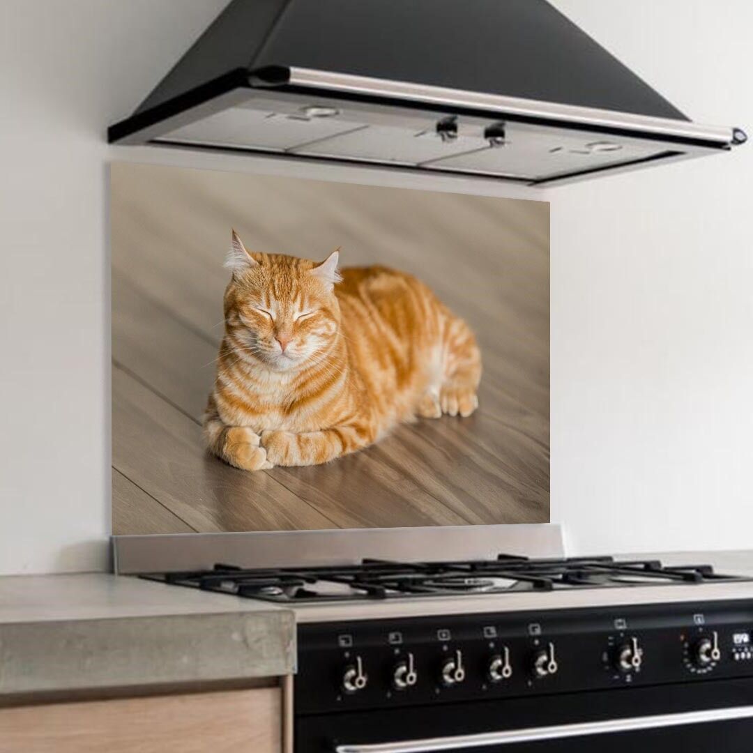 keuken met spatplaat rode kater