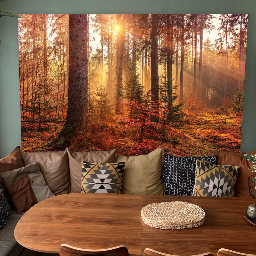 Keukenachterwand met bos en zonnestralen