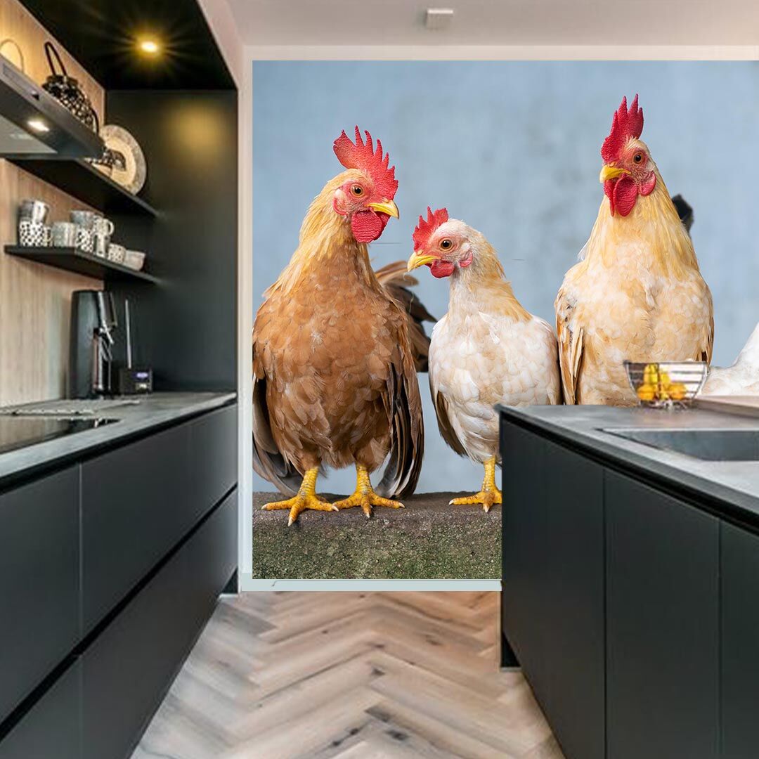 Fotobehang kippen