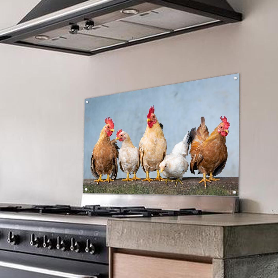 Keukenspatscherm met kippen - Afbeelding 3
