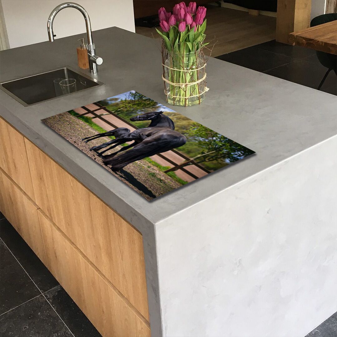 inductie_beschermer_fries_met_veulen