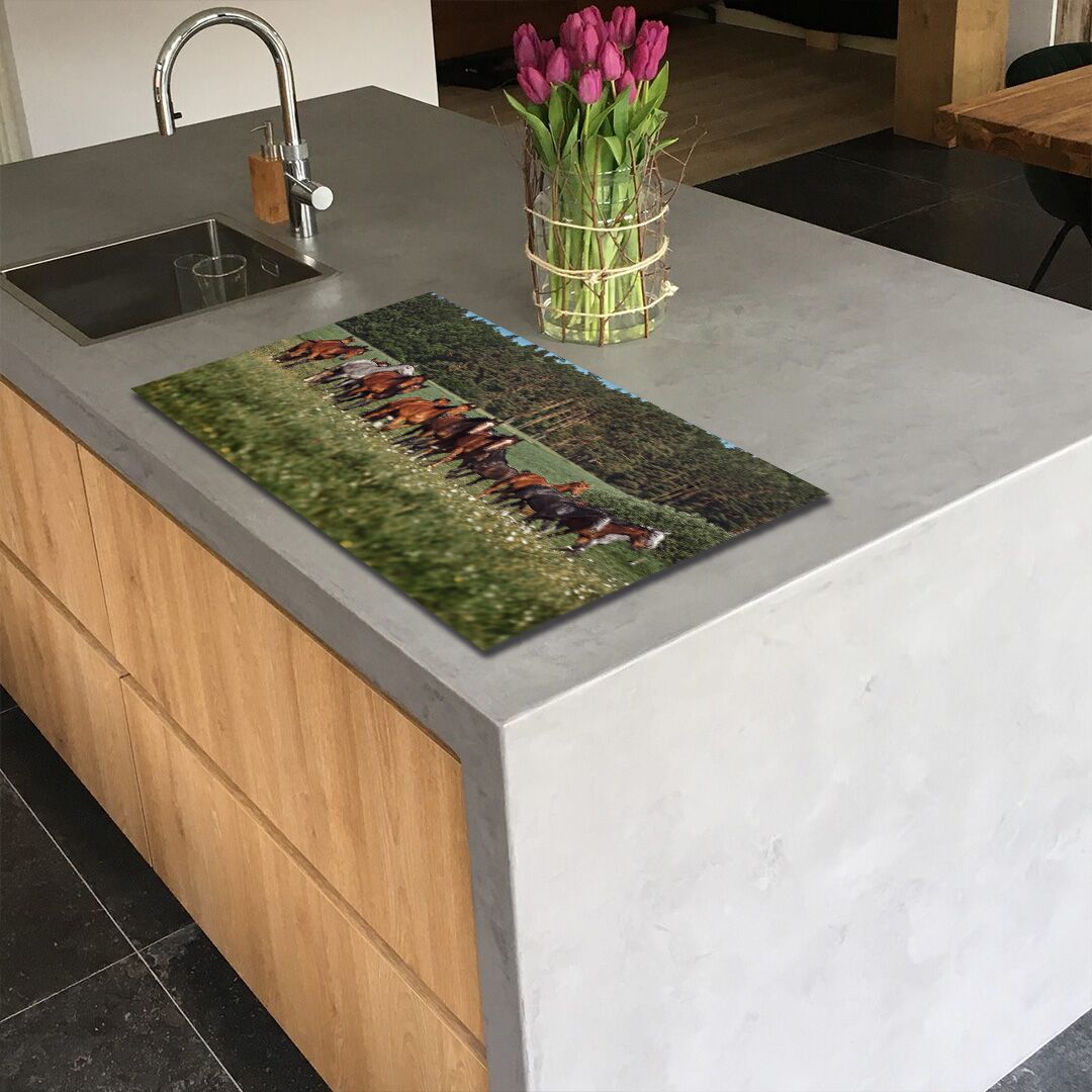 inductie_beschermer_kudde_paarden