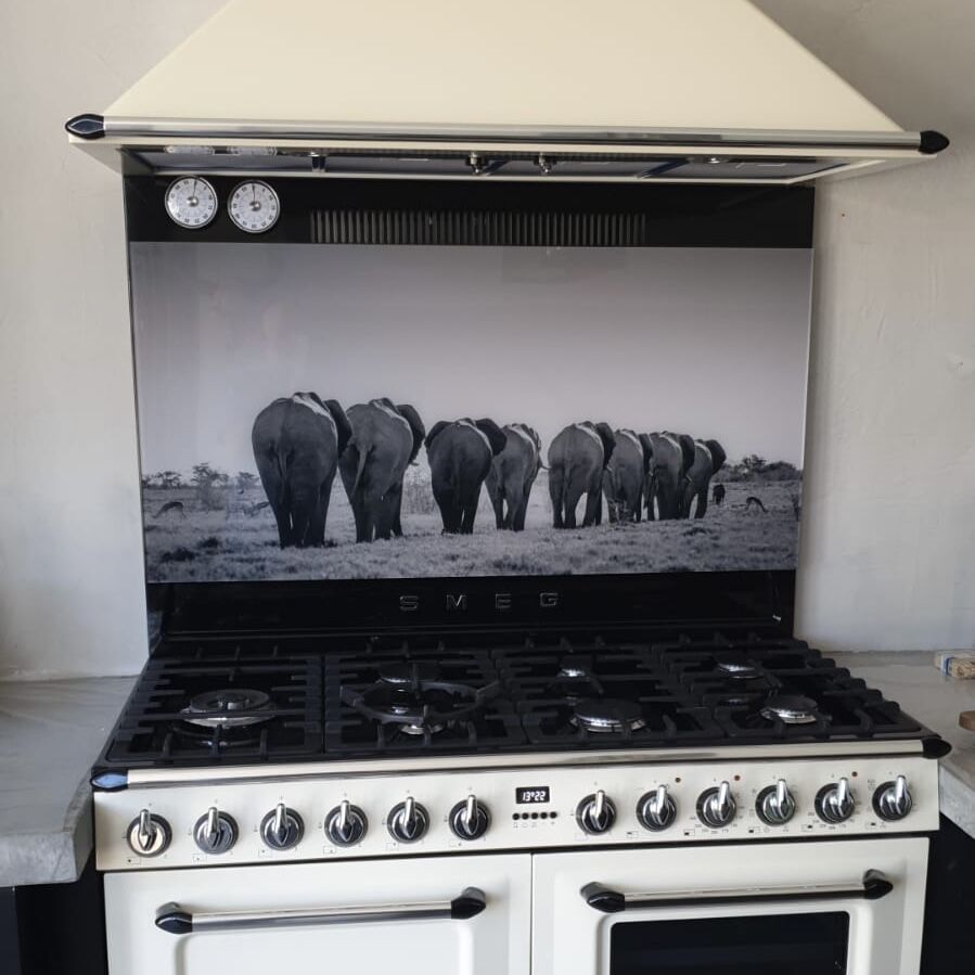 Backsplash olifanten in Afrika
