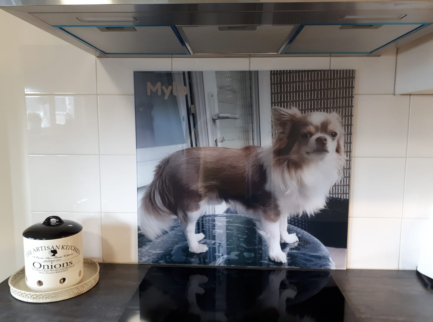 Spatscherm met hondje Mylo