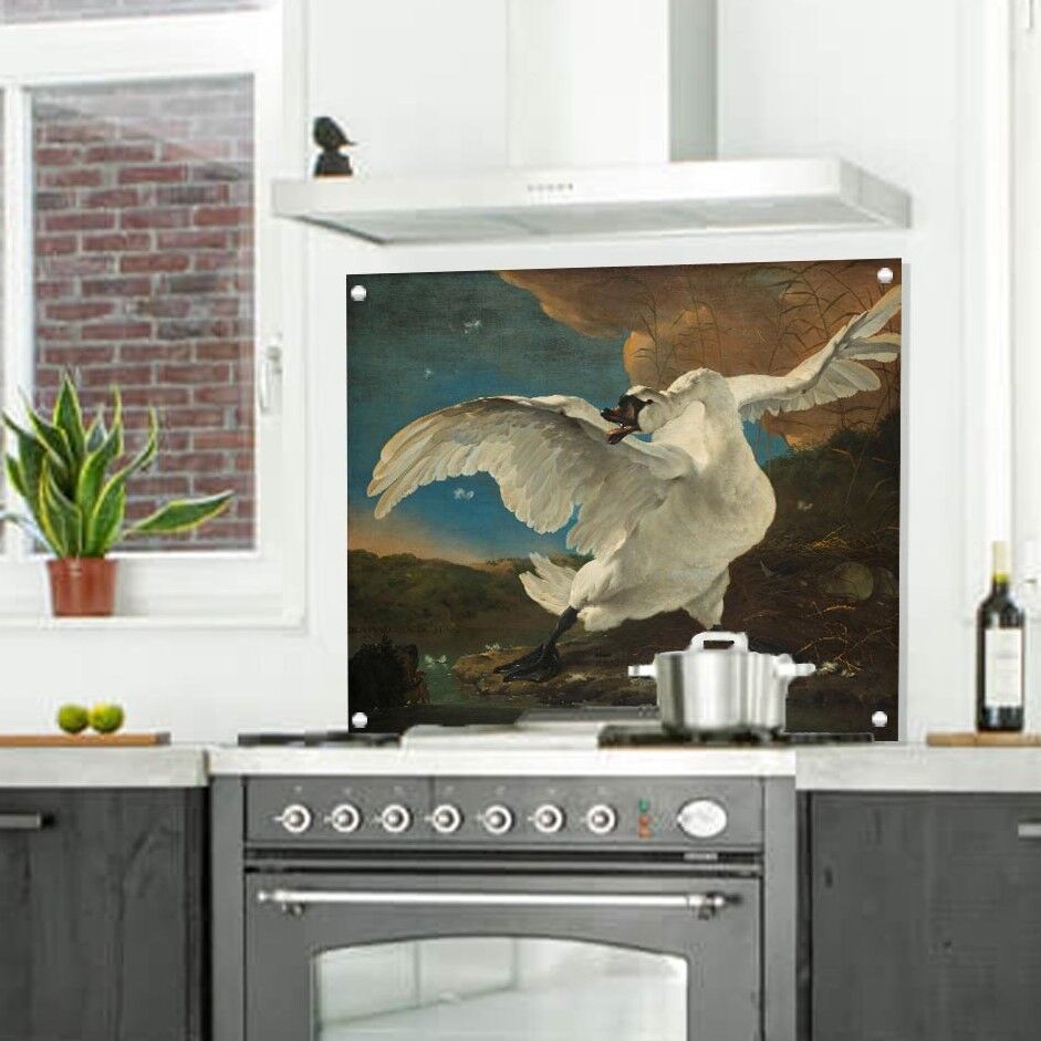 Spatwand bedreigde zwaan Asselijn