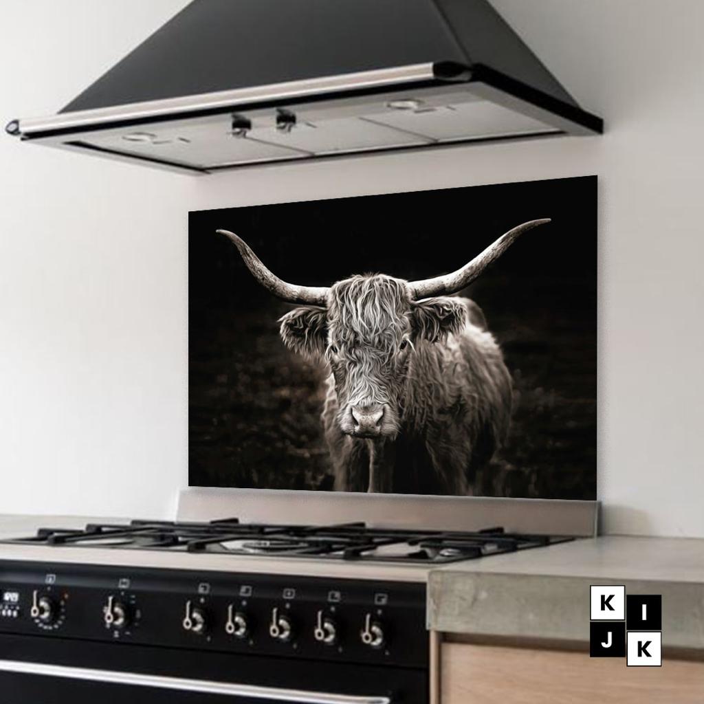 keuken-spatscherm-met-schotse-hooglander-ZW