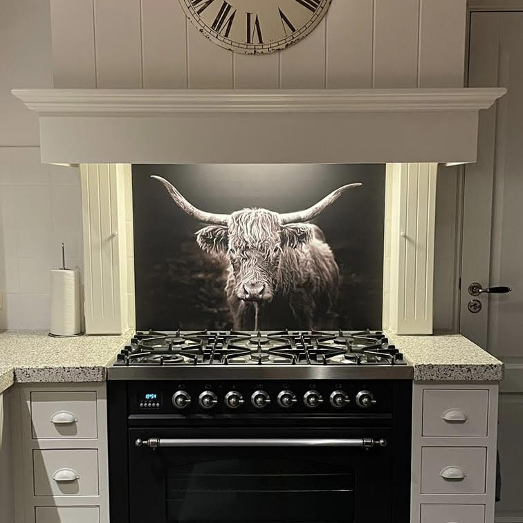 spatscherm_schotse_hooglander