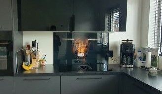 Spatscherm Schotse hooglander met grasspriet