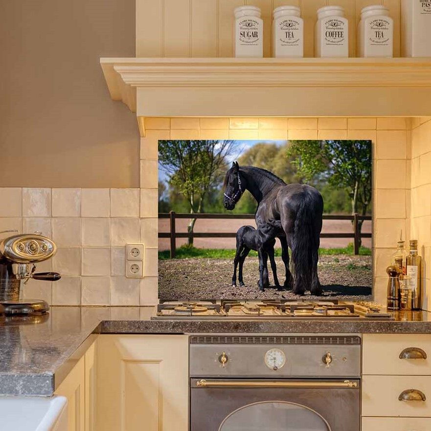 KunstinInJeKeuken_spatscherm_fries_paard-met-veulen