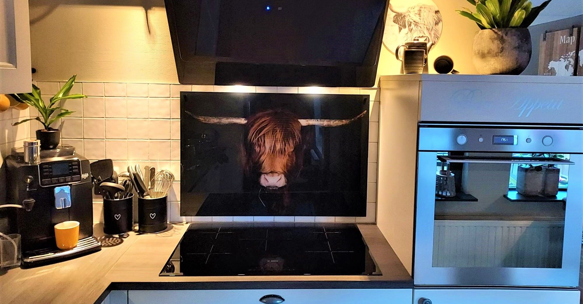 Spatscherm met hooglander