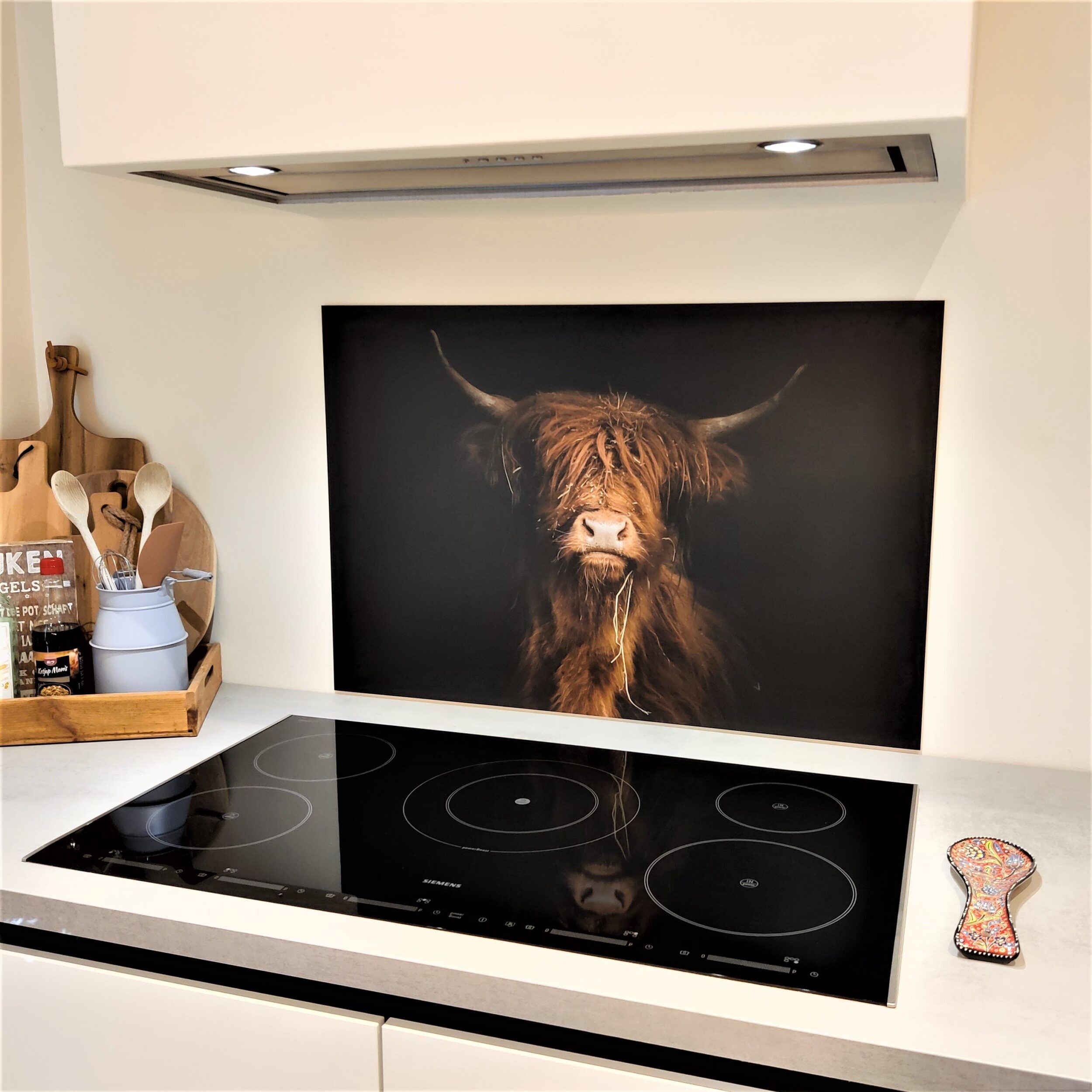 schotse_hooglander_met_haarlok