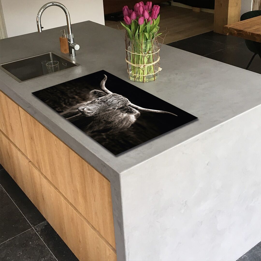 inductie_beschermer_met_schotse_hooglander_in_zwart_wit