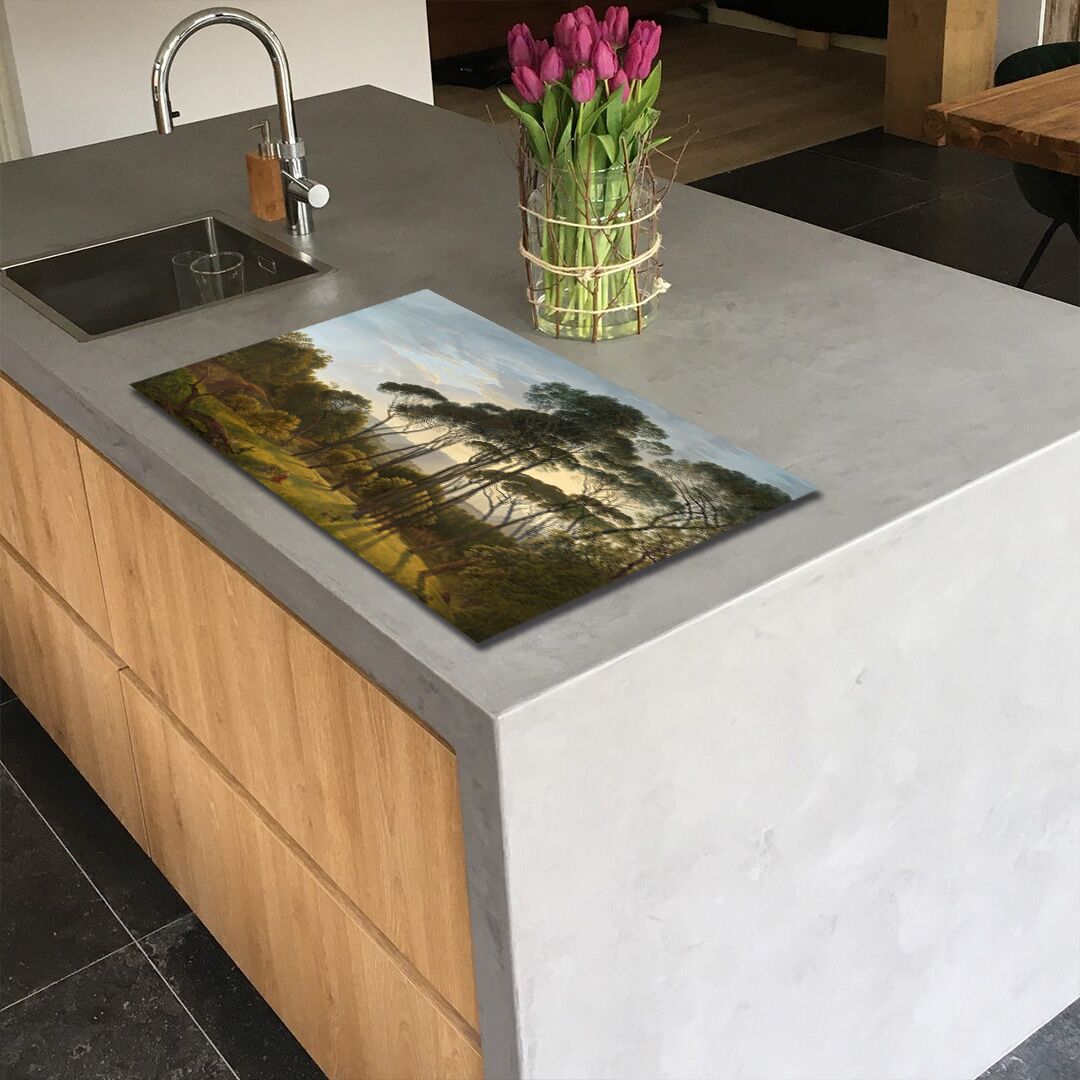 inductie_beschermer_met_prarasoldennen