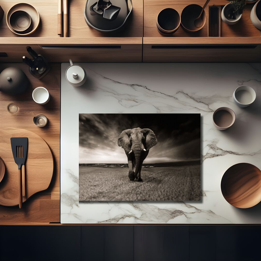 olifant_inductiebeschermer